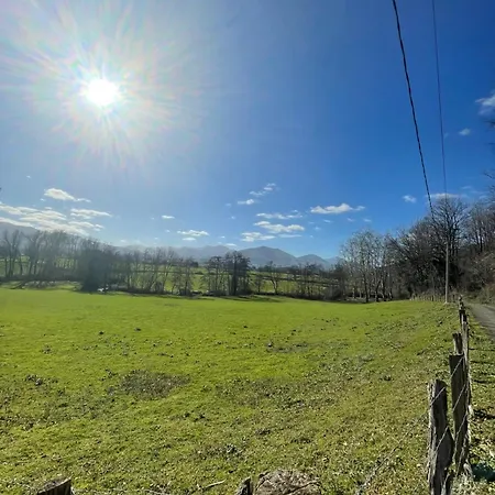 Guiroya * Saint-Jean-le-Vieux (Ain)