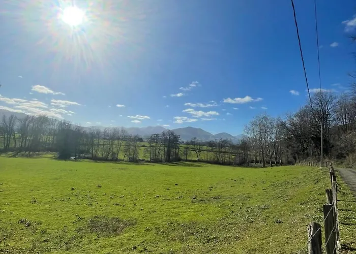 Guiroya * Saint-Jean-le-Vieux (Ain)